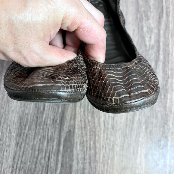 *Tory Burch | Eddie Snakeskin Flats in Brown Size 6 - Picture 11 of 14